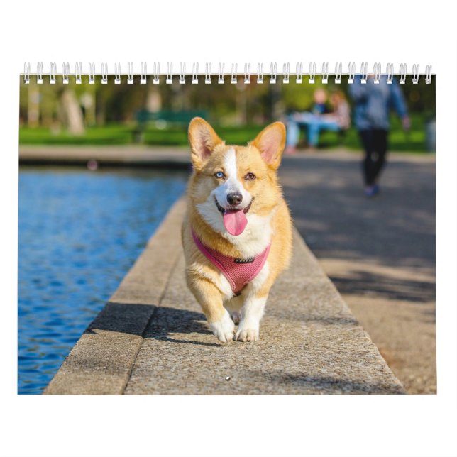 Söta Hundar Enkla Minimalistiska Kalender (Omslag)