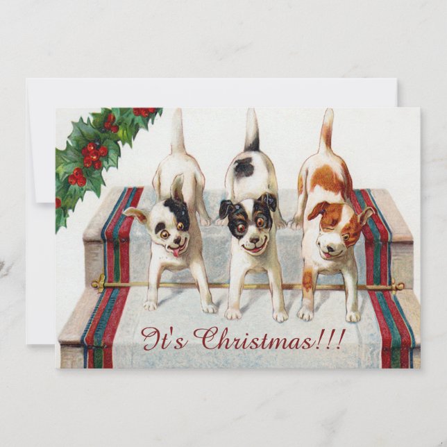 Söta hundars julfest inbjudningar (Framsida)