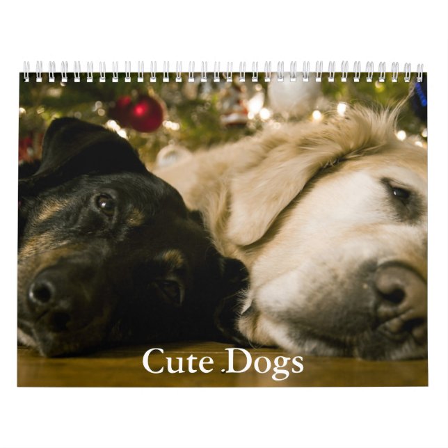 Söta Hundkalender Kalender (Omslag)
