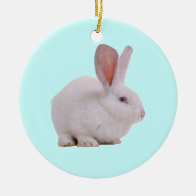 Söta Kanin Kanin Julgransprydnad Keramik (Framsidan)