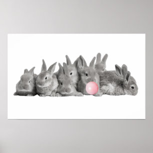 Söta Kaniner Kanin Bubbelgum Barnkammare Poster