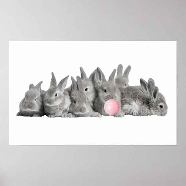 Söta Kaniner Kanin Bubbelgum Barnkammare Poster (Framsidan)
