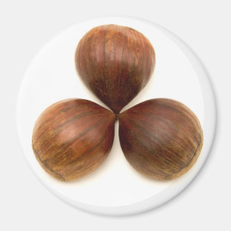 Söta kastanjer magnet