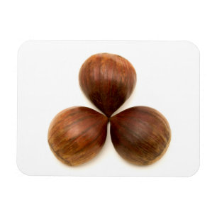 Söta kastanjer magnet