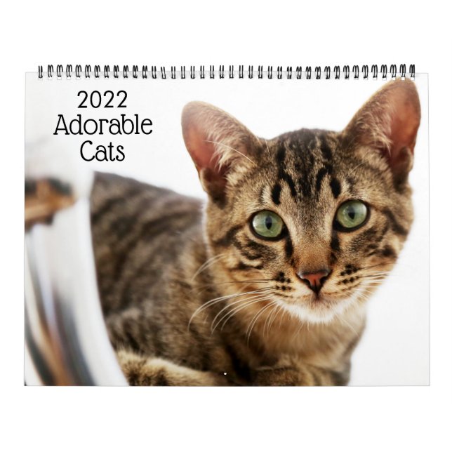 Söta katter 2022 kalender (Omslag)