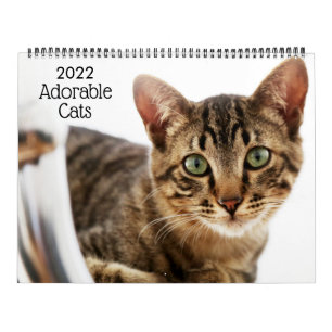 Söta katter 2022 kalender