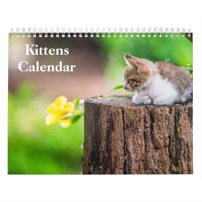 Söta Katter 2027 Bengalisk Tiger Kalender (Omslag)
