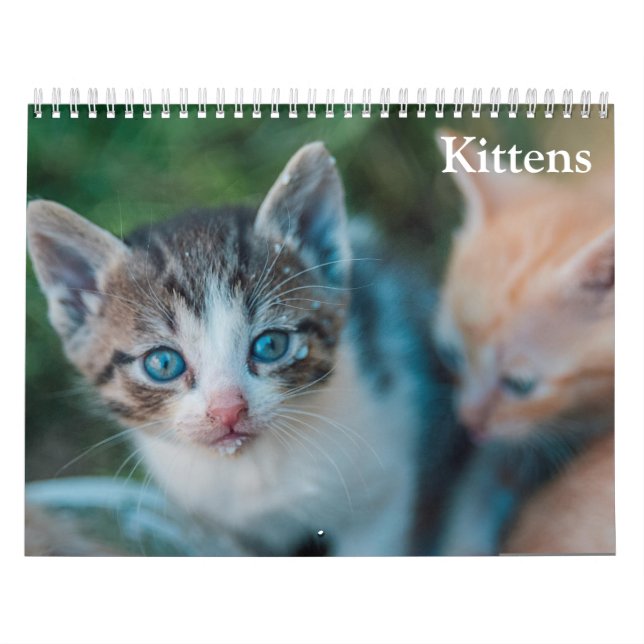 Söta Katter 2027 Kalender (Omslag)