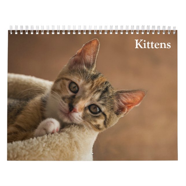 Söta Katter 2027 Kalender (Omslag)