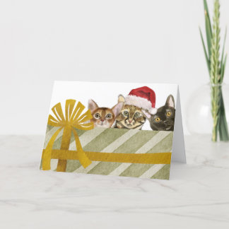 Söta katter och julpaket helgkort