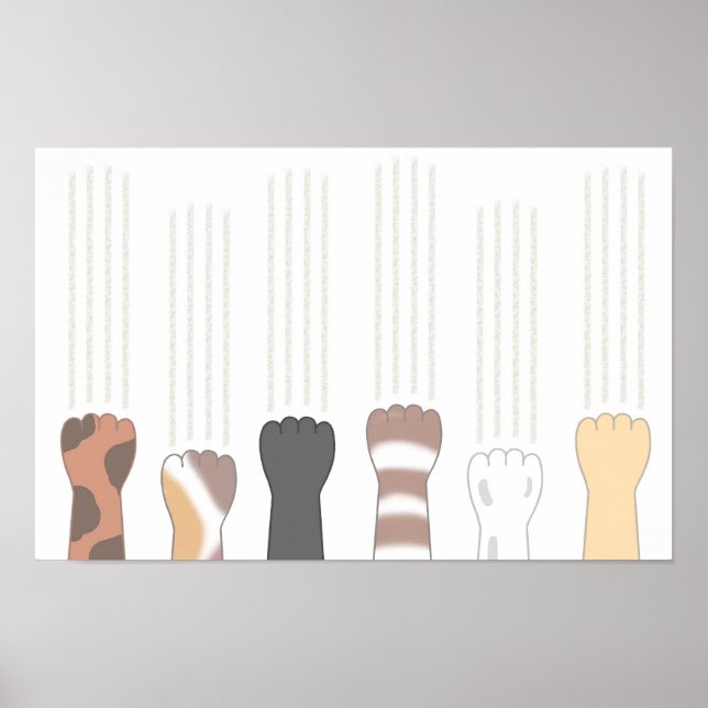 Söta kattklor som lämnar repor. poster (Framsidan)