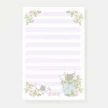 Söta kattungar i en hink