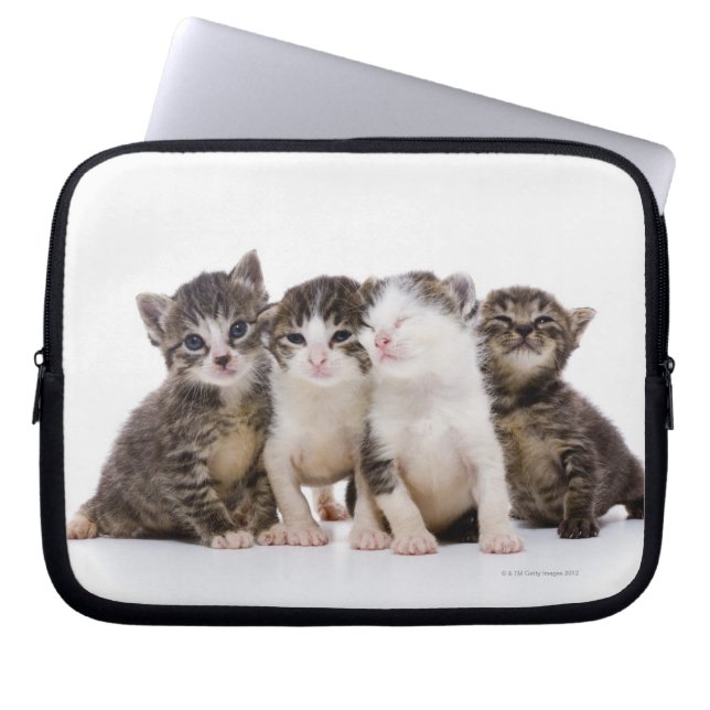 Söta kattungar laptop sleeve (Framsidan)