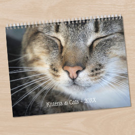 Söta kattungar och husdjur foton kalender