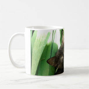 Söta kattungar som kramas kaffemugg