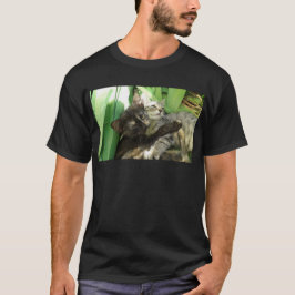 Söta kattungar som kramas t shirt