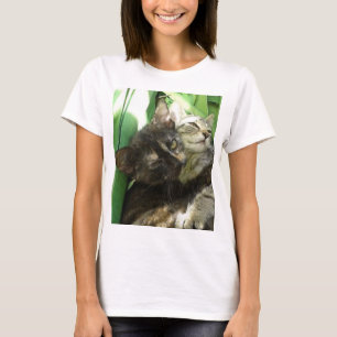 Söta kattungar t shirt