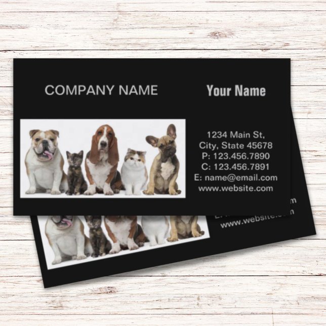 Söta kort hårkattvänner basset hound budog (cute short hair cat friends basset hound bull dog business card)