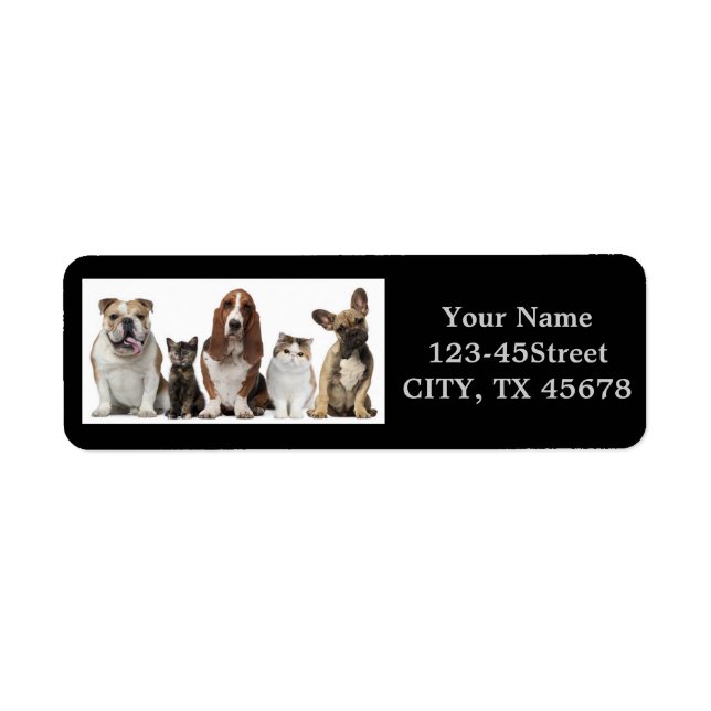 Söta kort hårkattvänner basset hound budog returadress etikett (Framsidan)