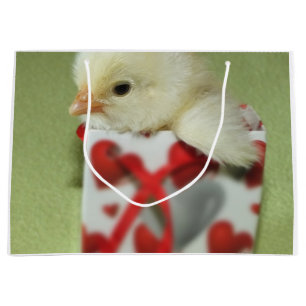 Söta kycklingars chick sitter i presentlåda med rö