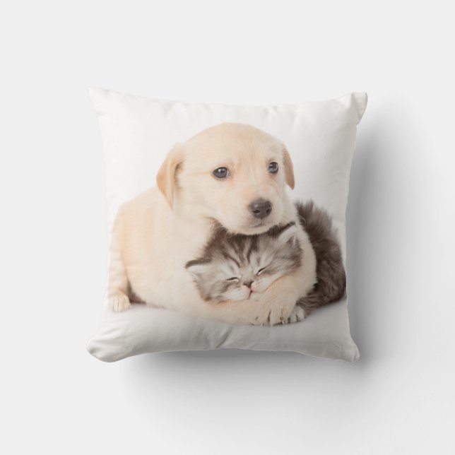 Söta lilla kattslepsar i hund händer kudde (Framsida)