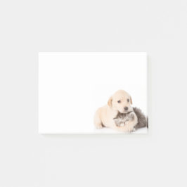 Söta lilla kattslepsar i hund händer post-it block