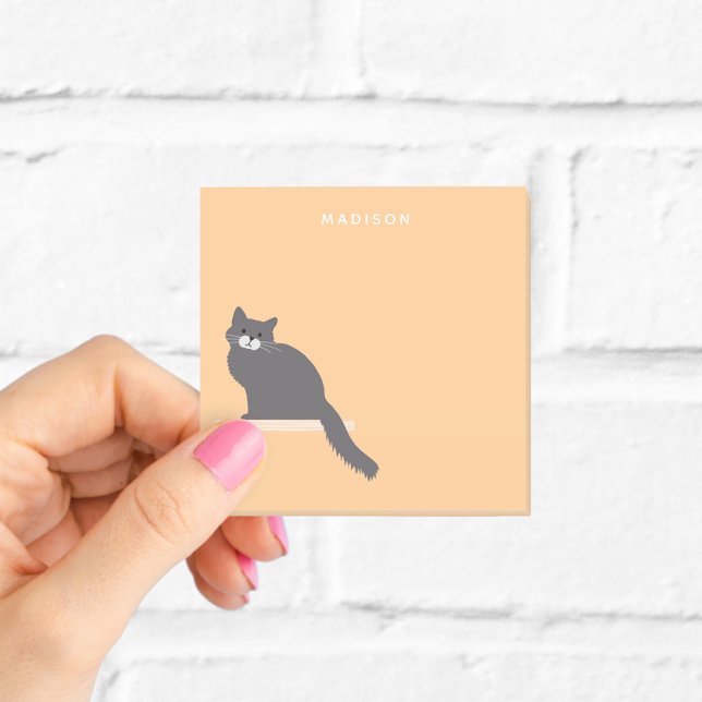 Söta luddiga grå kattlappar med namn post-it block (Skapare uppladdad)