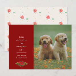 Söta miniatyrsatser för husdjur jul foto julkort