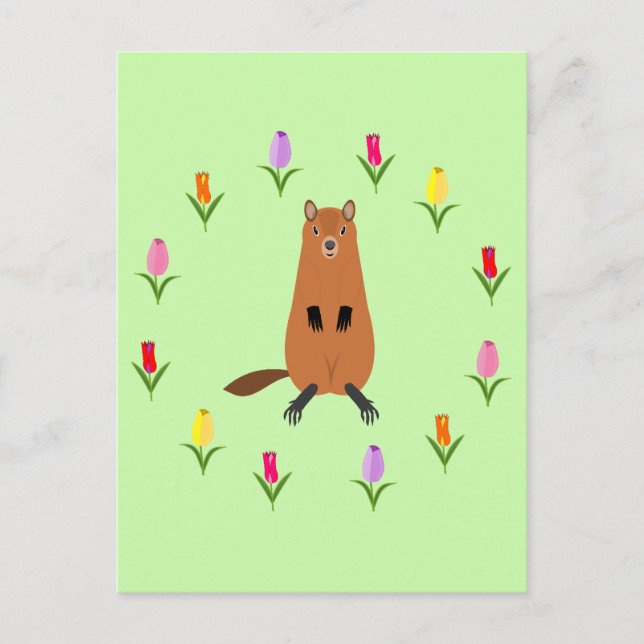 Söta Murmeldjur och Tulpanblommor Vykort (Framsida)
