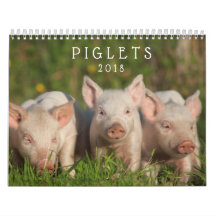 Söta Piglets 2018 - kalender för babygrisvägg