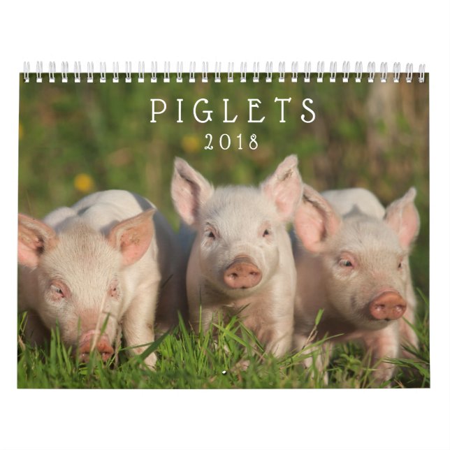 Söta Piglets 2018 - kalender för babygrisvägg (Omslag)