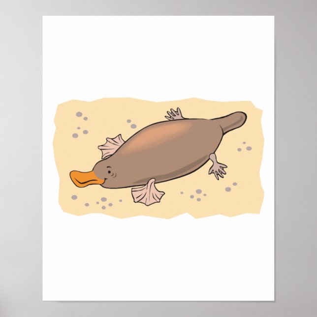 Söta platypus i sanden poster (Framsidan)