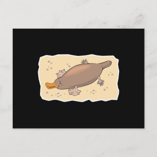 Söta platypus i sanden vykort