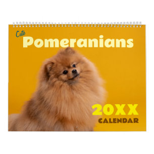 Söta Pomeranians Hundvägg Kalender