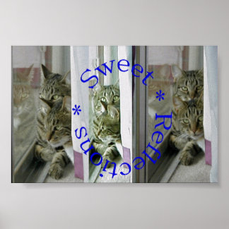 Söta reflektioner poster