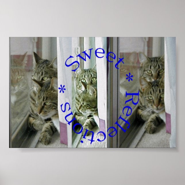 Söta reflektioner poster (Framsidan)