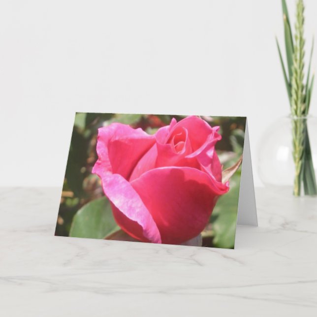 Söta Rosa ros Bud Flower Hälsning eller Note Card Kort (Framsida)