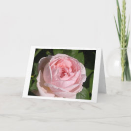 Söta Rosa ros Hälsning eller anteckningskort