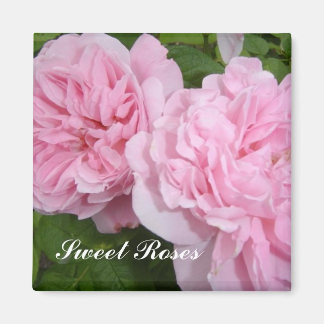 Söta Rosa Rosor Magnet (Framsidan)