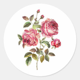 Söta rosa rosor på vit bakgrund runt klistermärke
