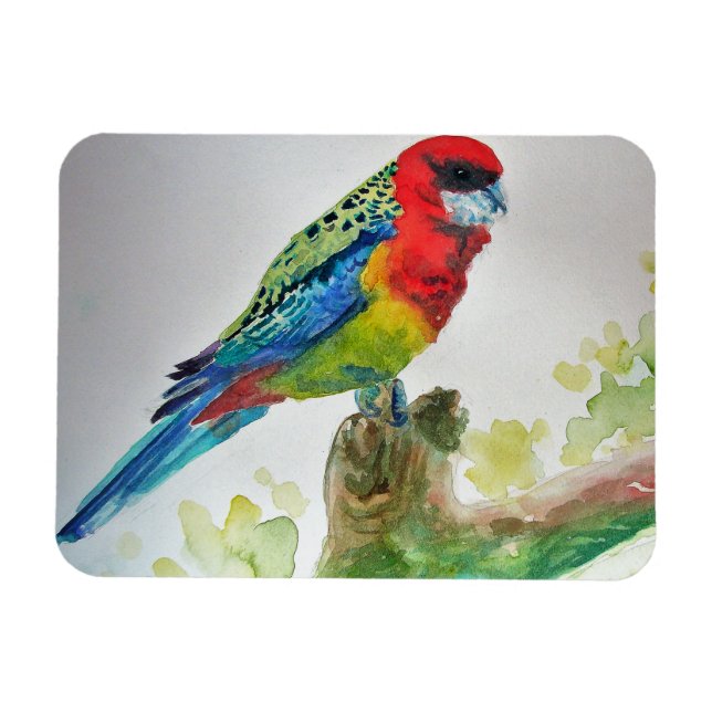 Söta Rosella-papegojor Fågel Akvarell Art Magnet (Horisontell)