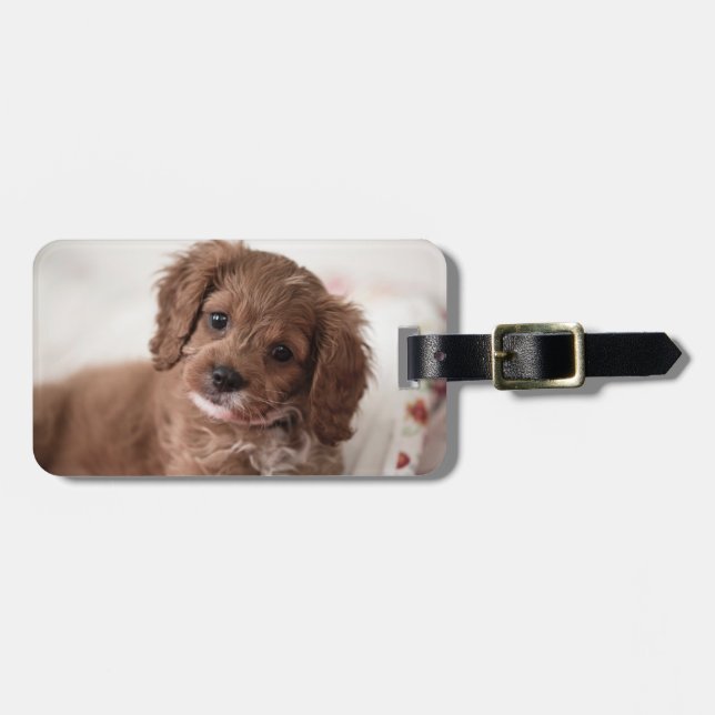 Söta Ruby Cavapoo Puppy Hund Bagagebricka (Horisontell Framsida)