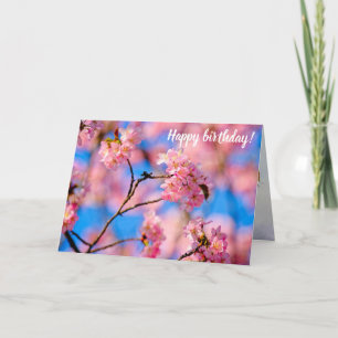 Söta Sakura-blommor på en sunt dag i Vår Kort