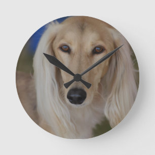 Söta Saluki Rund Klocka