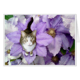 Söta Sam Hälsningskort