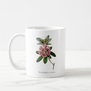 Söta sommarskalen: Rhododendron viscosum Mugg