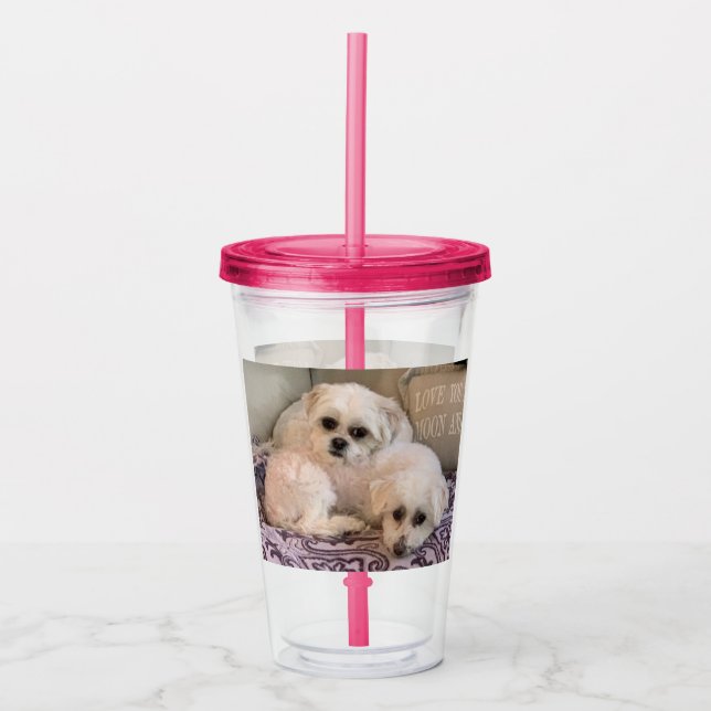 Söta vita hundar take away mugg (Framsida)
