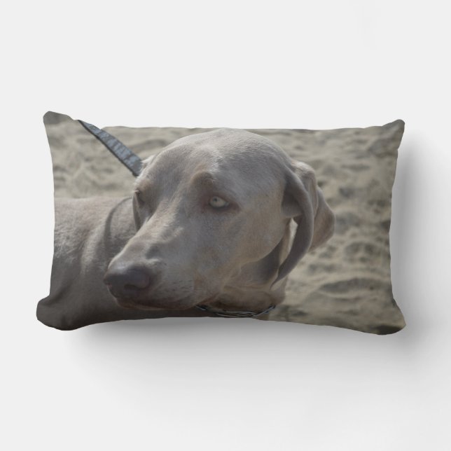 Söta Weimaraner Lumbarkudde (Framsida)