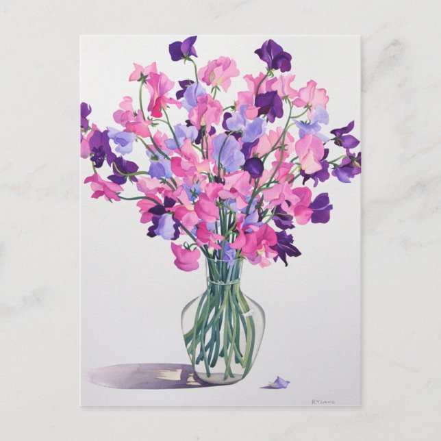 Sötärter 2007 vykort (Framsida)