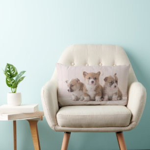 Sötaste baby djur 3 baby Corgis Lumbarkudde